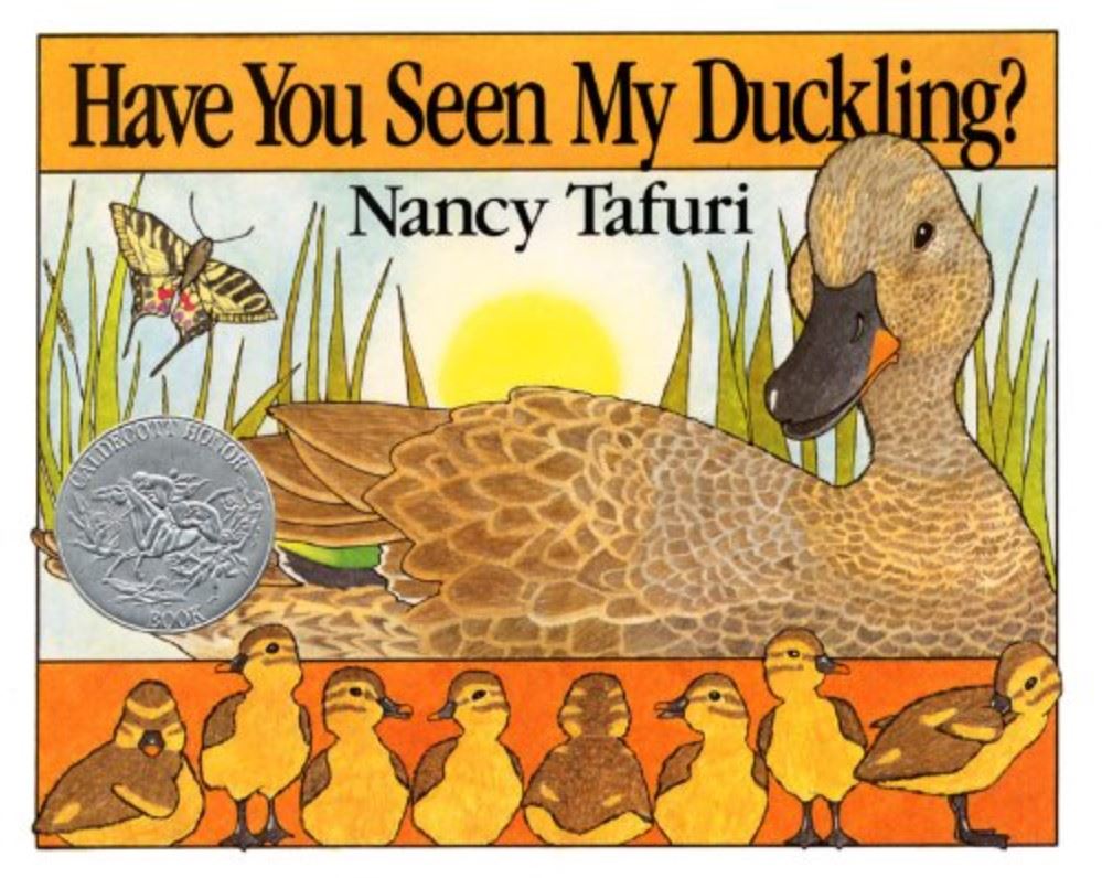 Have you Seen My Duckling by Nancy Tafuri