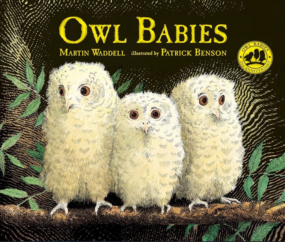 Owl Babies by Martin Waddell