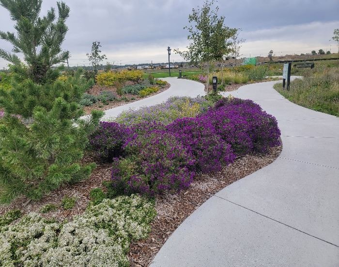 2nd page - Native Garden - Image A